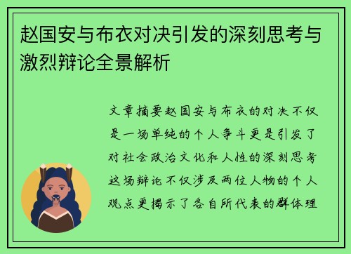 赵国安与布衣对决引发的深刻思考与激烈辩论全景解析