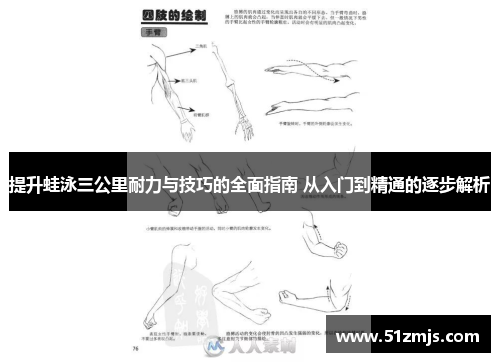 提升蛙泳三公里耐力与技巧的全面指南 从入门到精通的逐步解析