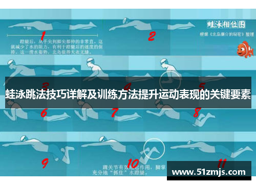 蛙泳跳法技巧详解及训练方法提升运动表现的关键要素